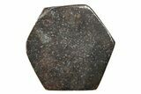 Stony Chondrite Cabochon ( g) - Meteorite #238180-1